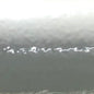 Powder Coating | Signal White Hammer | Powder Coating for Metal | 0-1246H | KG